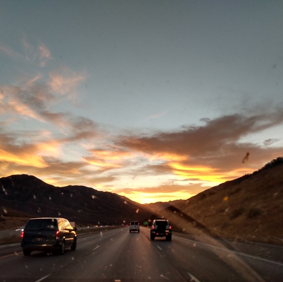 Meet your Posher, Leone - Picture 2 of 14